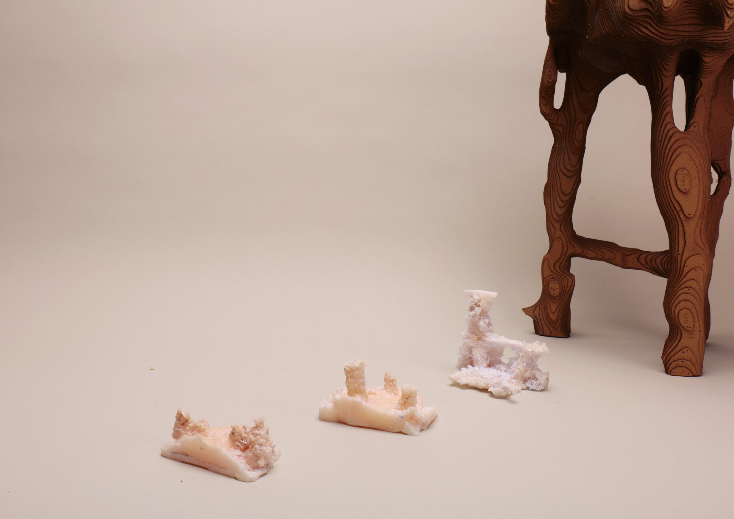 Photo of small, chewed-looking wax models used by William Eliot in the Digested Objects project