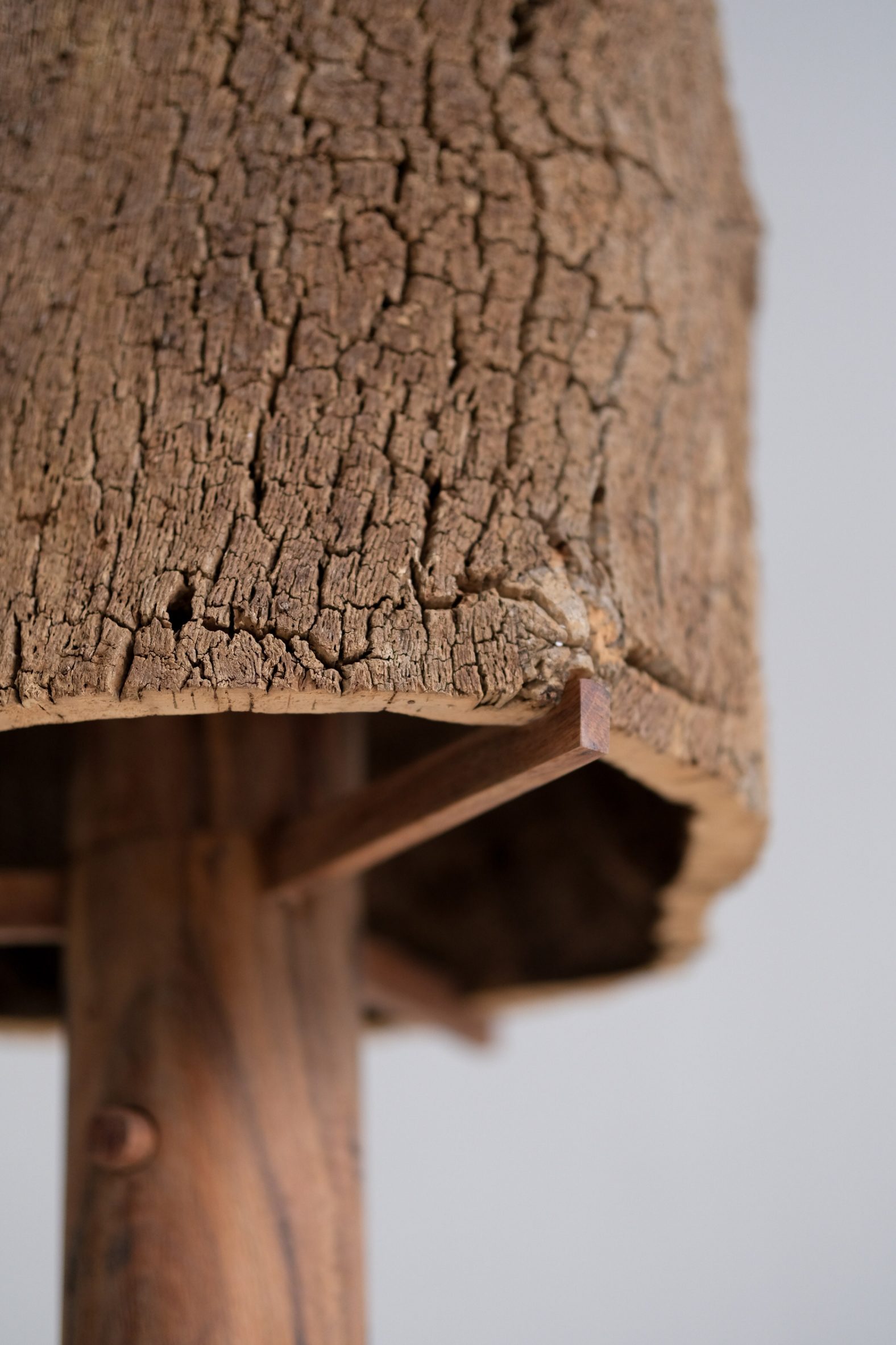 Bark furniture