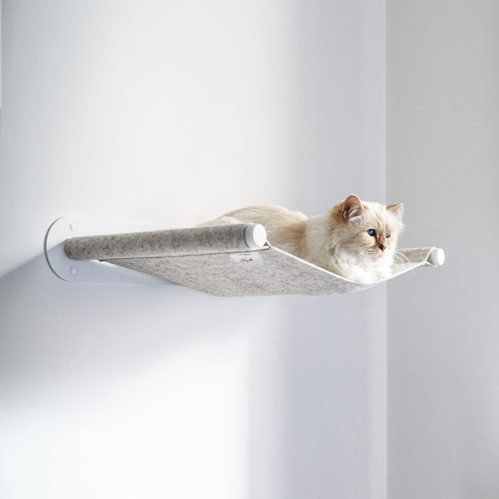 Choupette models the Swing hammock bed by LucyBalu