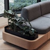 Close-up of planter on Tejo sofa by Paul Crofts for Isomi