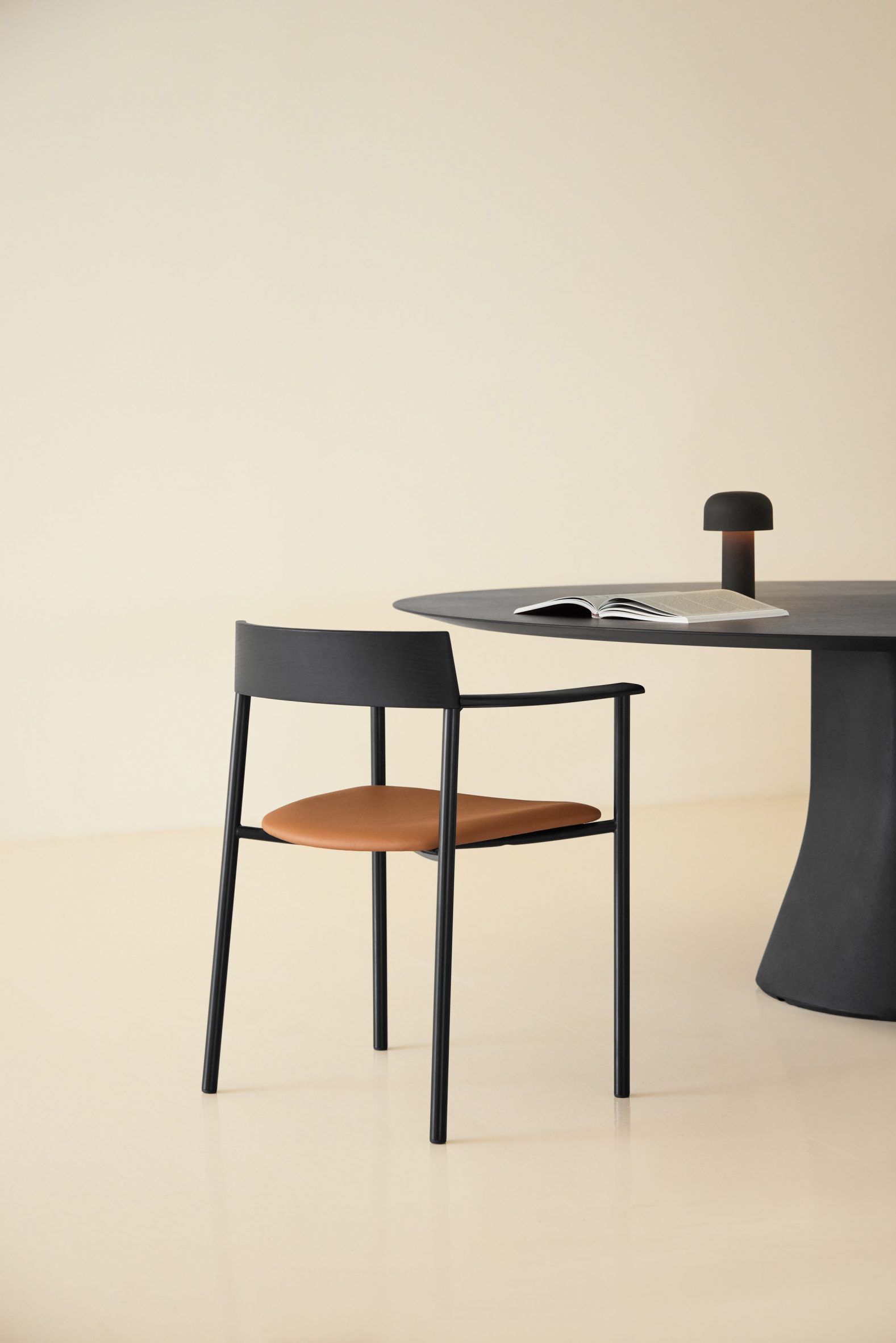 Perxa chair by Piero Lissoni for Viccarbe