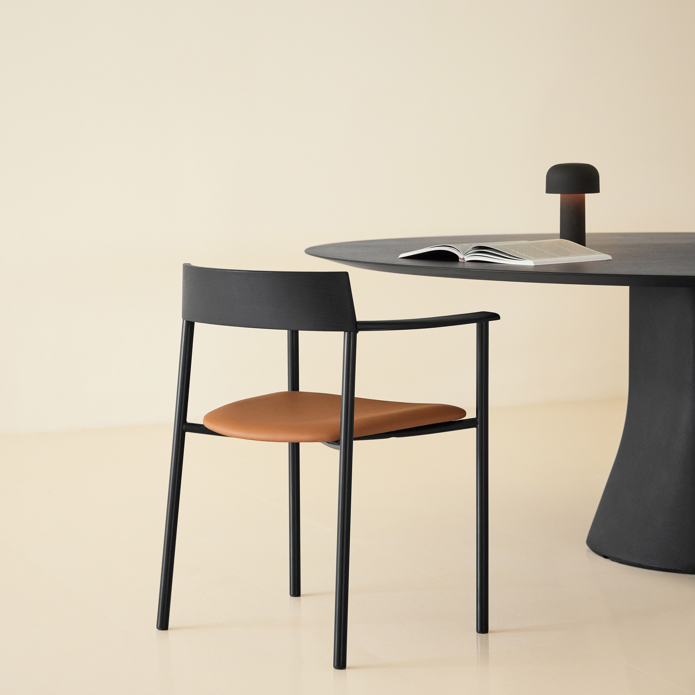 Perxa chair by Piero Lissoni for Viccarbe