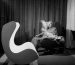 egg-chair-arne-jacobsen-sq3-852x852-1