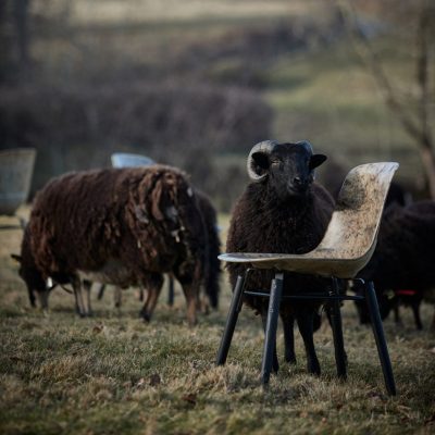 solidwool-chair-sheep-fleece_dezeen_2364_col_1-852x852-1